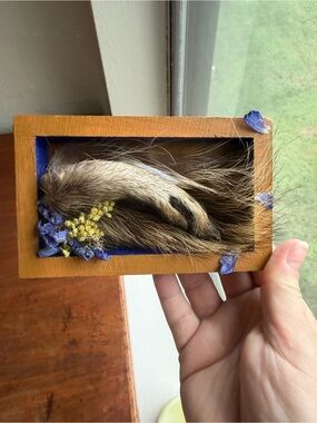 Raccoon paw with Floral Detail - Taxidermy Art